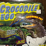 Thumbnail Photo for the Go ahead punk make my mararirtas Gallery.